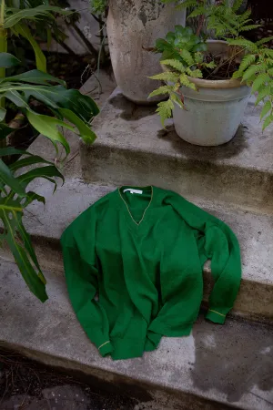Anna Alpaca V Neck Pullover In Green/Gold