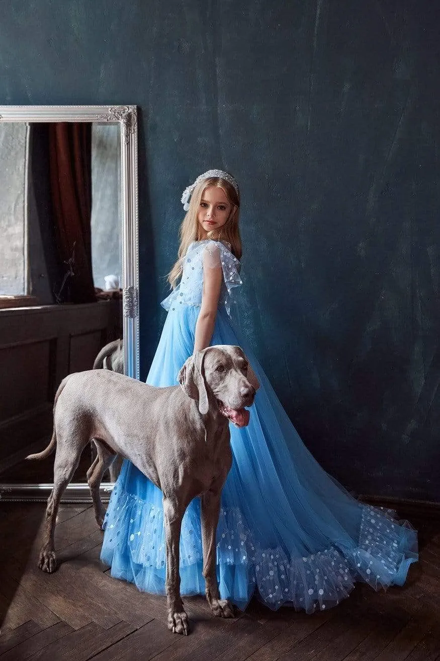 Butterfly Sleeve Long Tulle Dress for Girls
