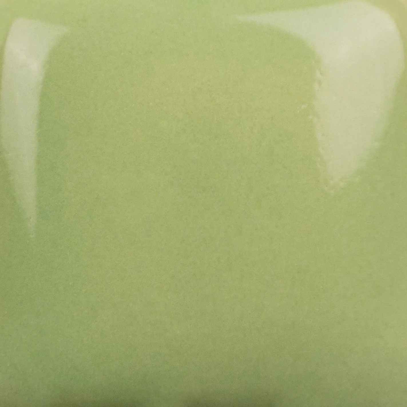 Mayco SC-043-P Lettuce Alone